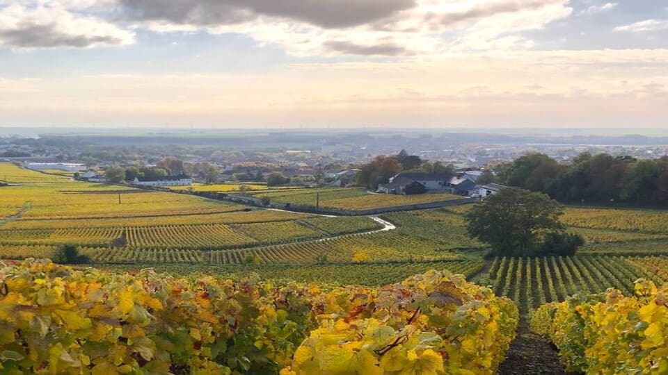 Blancs-Coteaux