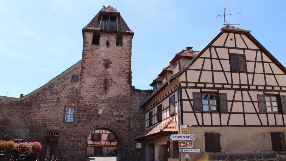 Wangen