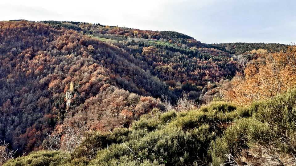 Saint-Pierre-Du-Champ